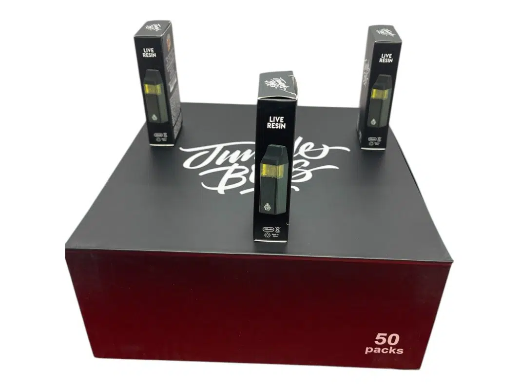 Photoroom_20250131_112853-1067×800.jpeg.webp Photoroom_20250131_112853-1067×800.jpeg.webp